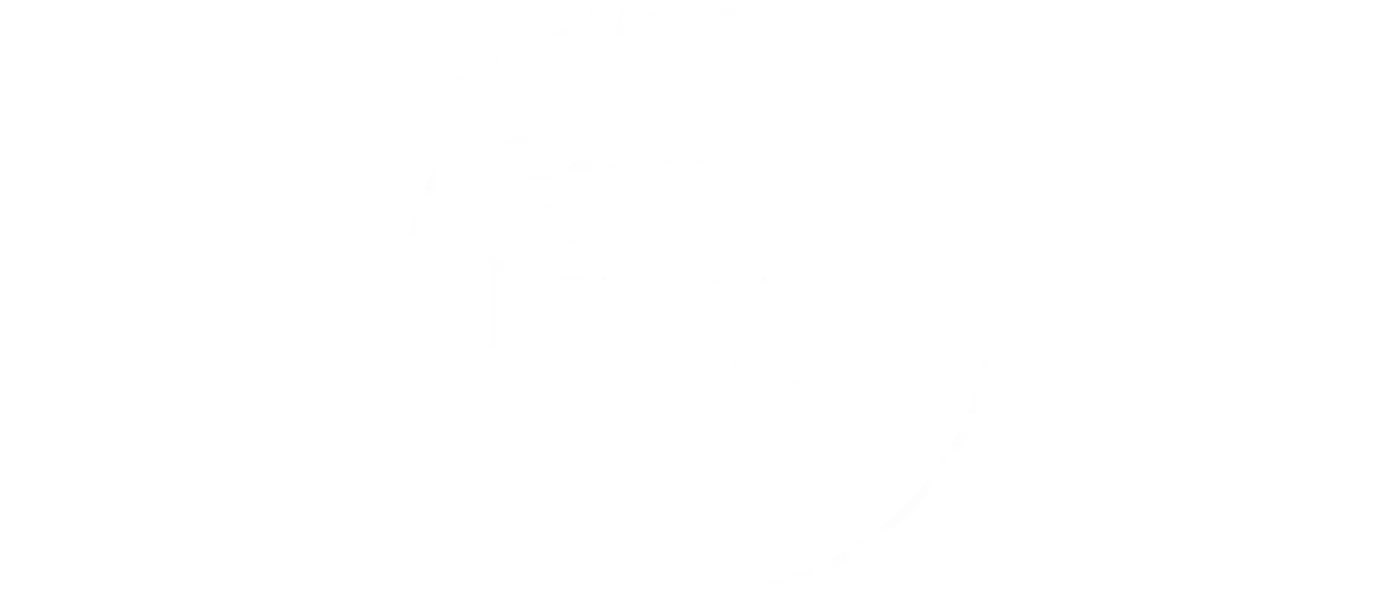 Cem porcento vida